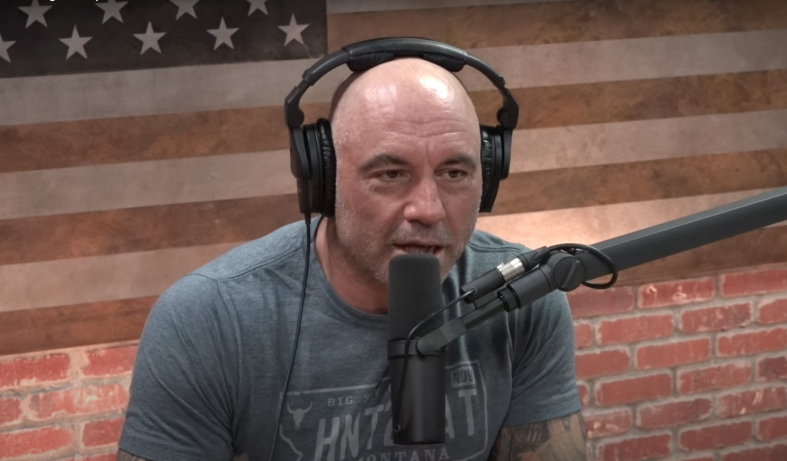 The Joe Rogan Podcast's Move To Spotify Is a Good Sign Luka Ladan