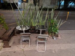 A small, informal parklet-like setup on a Mexico City street, adjacent to plants.