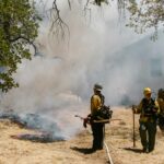 A Firefighters Stopping a Grass Fire