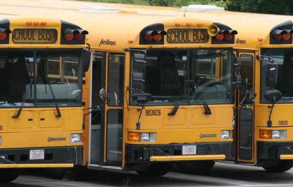 School Buses - Alex Starr - Flickr